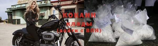 прущие грибы Володарск