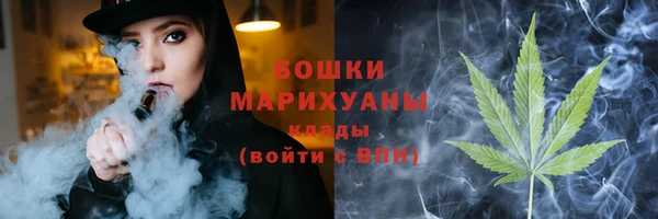 прущие грибы Володарск
