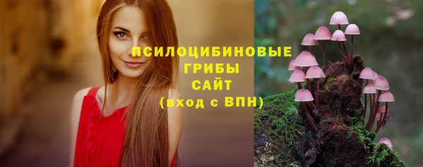 прущие грибы Володарск