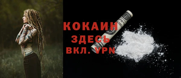 прущие грибы Володарск