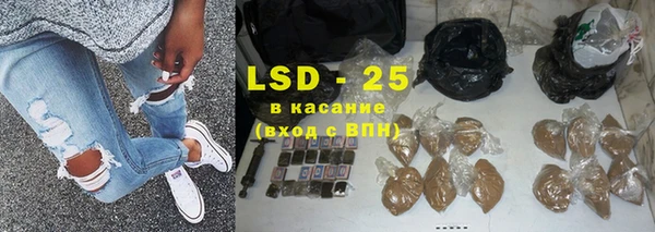 прущие грибы Володарск