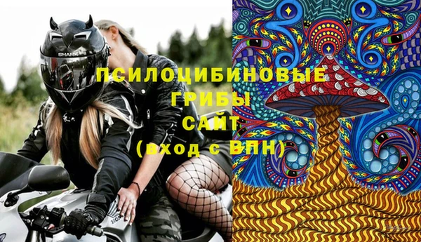 прущие грибы Володарск